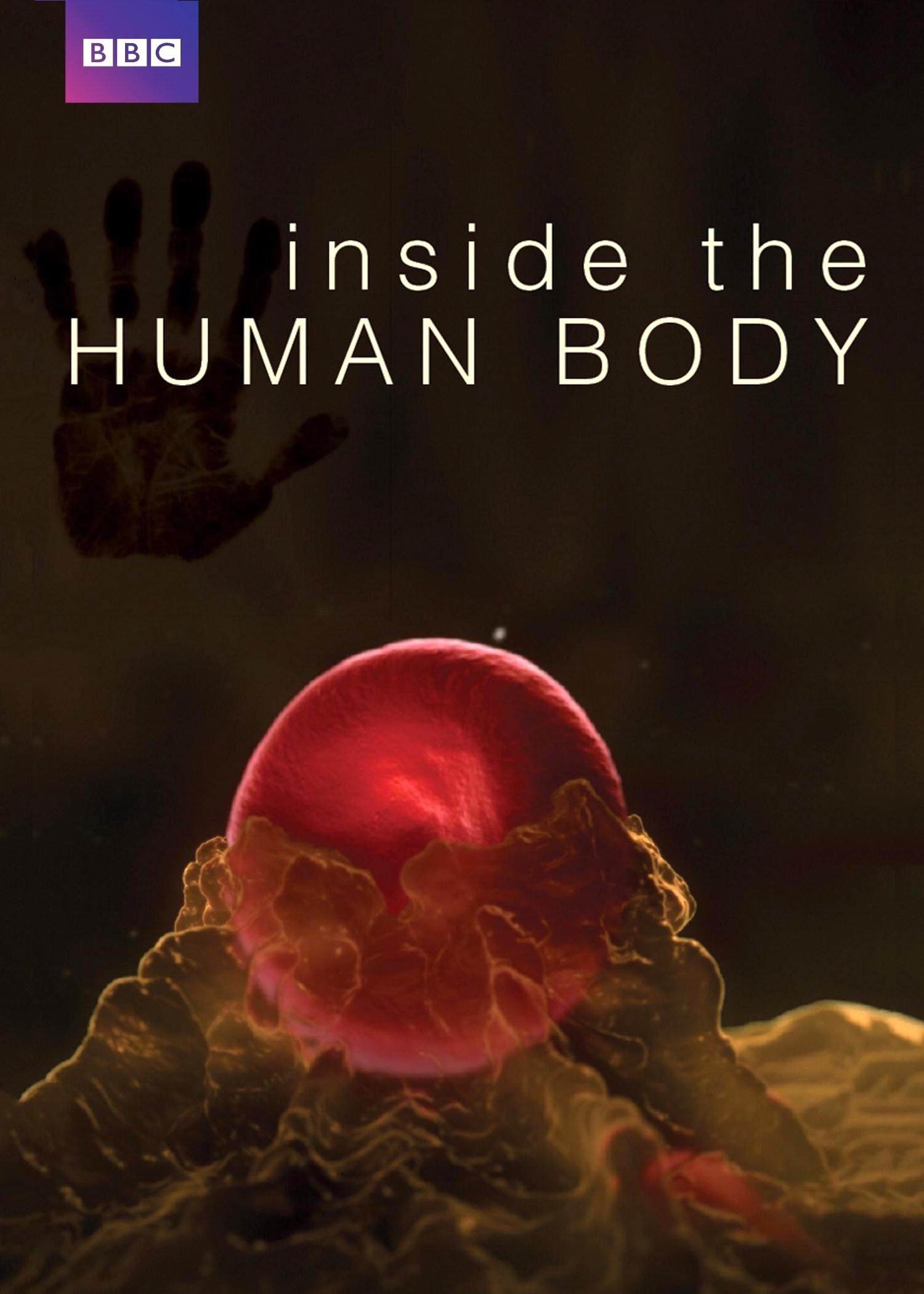 纪录片《人体奥秘》（2011）